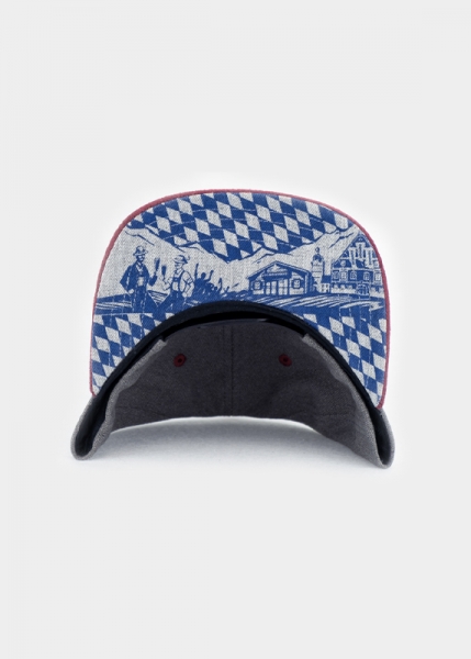 "Erdinger" - dunkelgrau (Snapback)